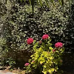 Moodhaus - Garden Escape Hébergement de vacances Shkodër
