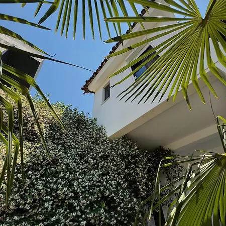 Moodhaus - Garden Escape