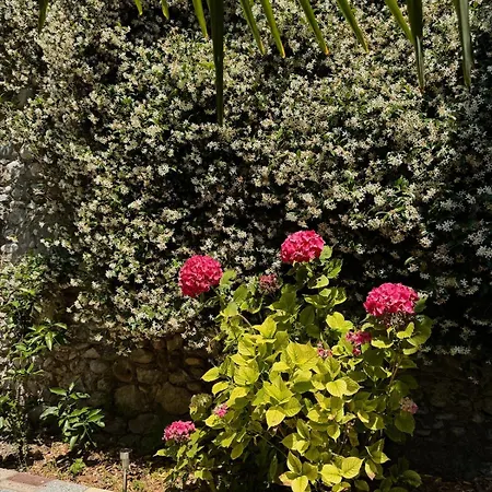 Moodhaus - Garden Escape Casa de Férias Shkodër