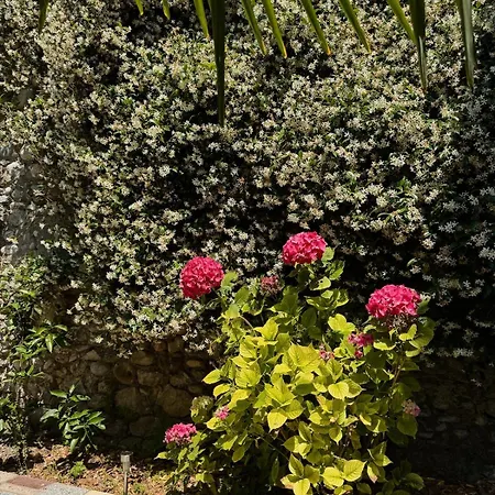 Moodhaus - Garden Escape Holiday home Shkoder