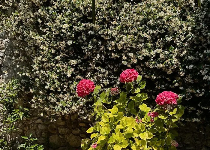 Moodhaus - Garden Escape Hébergement de vacances Shkodër